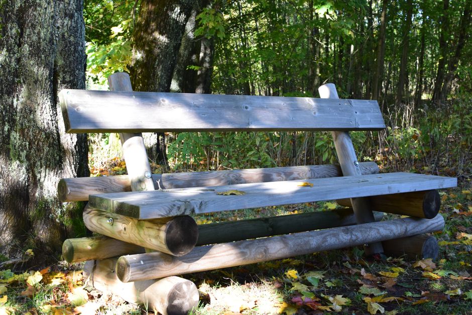 Nature A Wooden Bench Sits Surrounded By Trees In A Sunlit Forest. Ideal For Nature Scenes. HD Wallpaper #3821